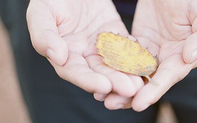 Empowering Transgender People - Inclusion and Diversity